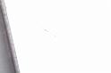Araneus_ZZXYX_D6108_Z_81_Les Gris_Frankrijk